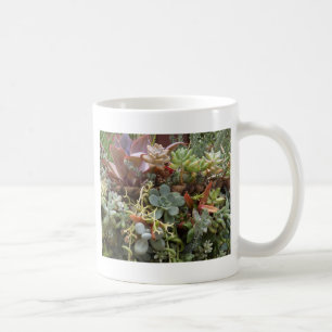 mehrfarbiger Kakteen Kaffeetasse
