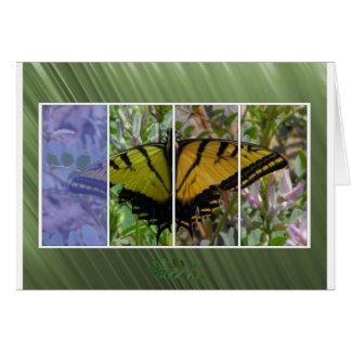 Mehrfarbiger Schmetterling