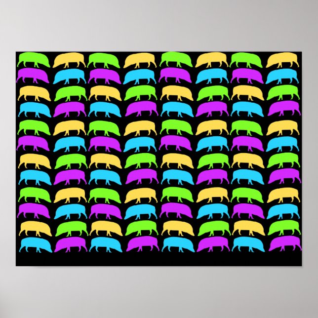 Mehrfarbiges Hogs Poster (Vorne)
