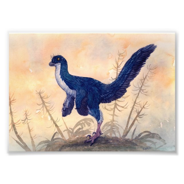 Mei Print Fotodruck (Vorne)