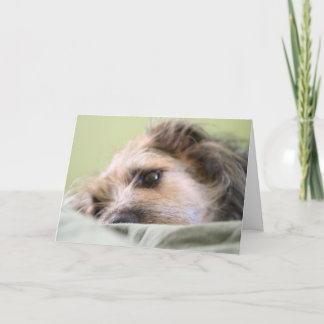 Meilen erwägend karte