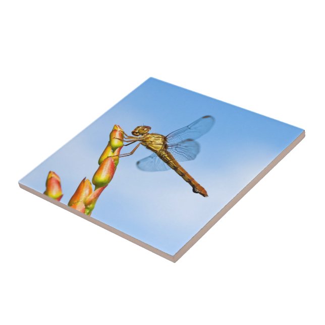 Meilen hinter mir fliese (Seite)