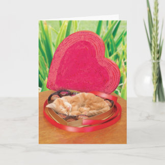 Meilleur adorable mignon drôle de carte de chat de