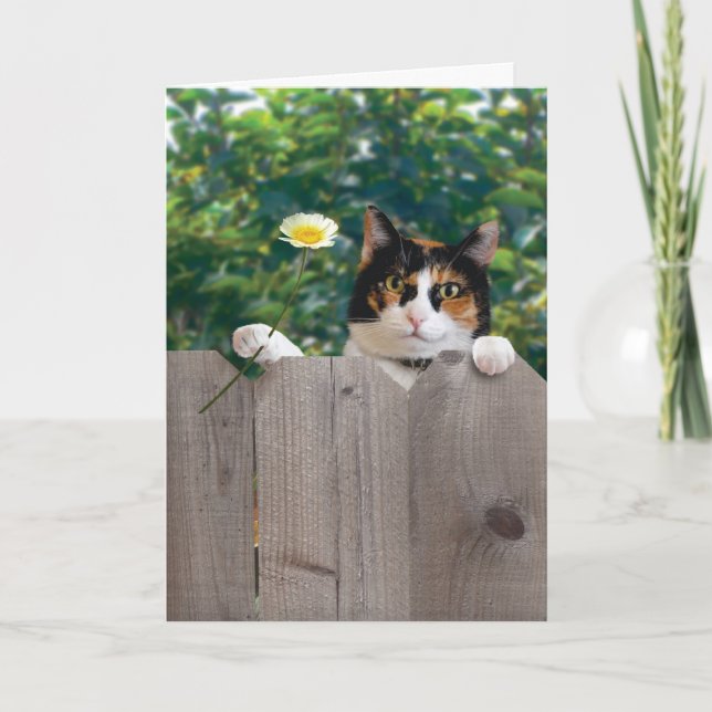 Meilleur adorable mignon drôle de carte de chat de (Devant)