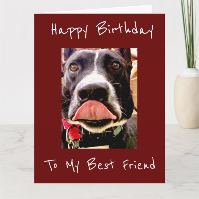 **MEILLEUR AMI** CARTE DE SOUHAITS D'ANNIVERSAIRE (Devant)
