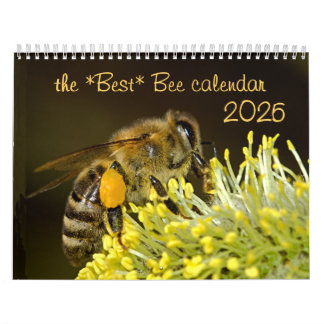 Meilleur calendrier des abeilles 2025 avec photos