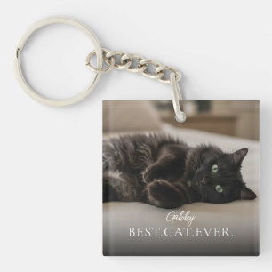 Meilleur Chat Du Monde Nom et Photo de Votre Anima