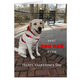 Meilleur Chien Papa Valentine Labrador Cute