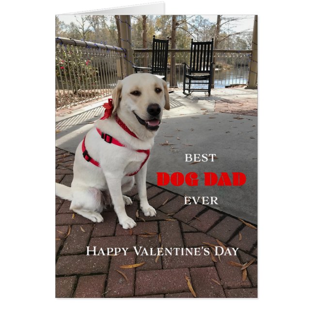 Meilleur Chien Papa Valentine Labrador Cute (Devant)