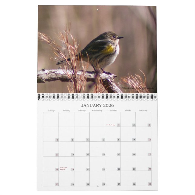 Meilleur de calendrier de photographie de nature (Jan 2026)