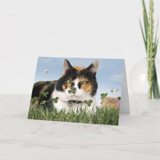 Meilleur mignon drôle de carte de chat du jour de