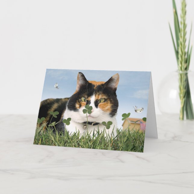 Meilleur mignon drôle de carte de chat du jour de (Devant)