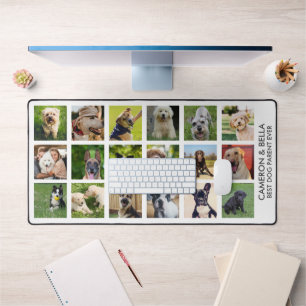 Meilleur Parent De Chien, Amoureux des chiens Phot