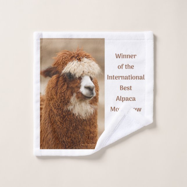Meilleur Sourcil Unique d'Alpaca (Gant de toilette)