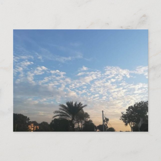 Meilleure carte postale (Devant)