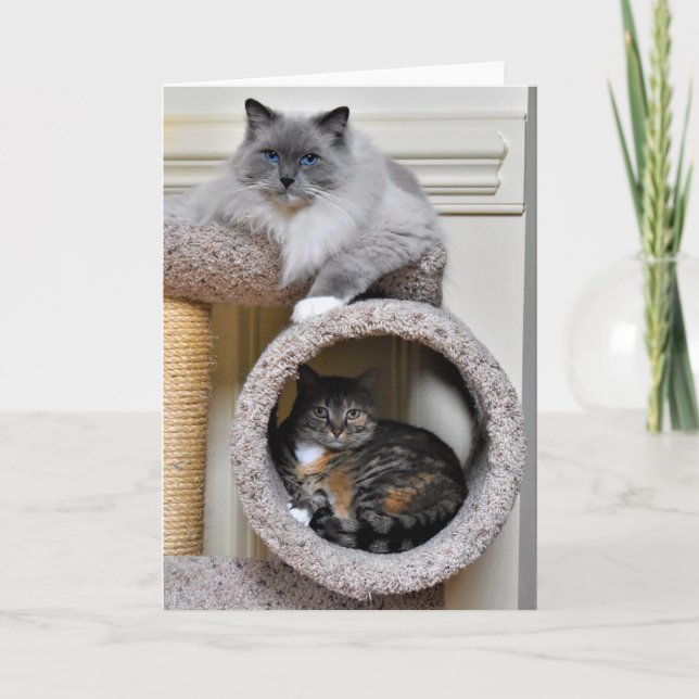 Meilleurs amis, carte (Devant)