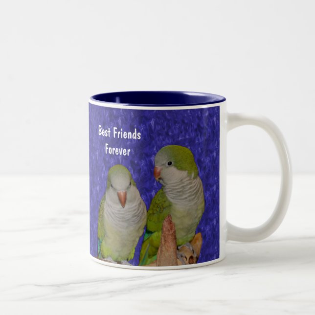 Meilleurs Amis Pour Toujours Mignonne Oiseau Mug (Droit)