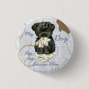 Mein Affenpinscher Ate mein Lektionsplan Button