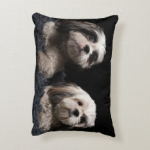 Mein Akzent-Kissen zwei WächterShih Tzu
