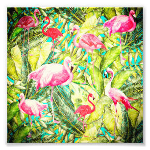 Mein Aloha Dschungel-Vogel-Flamingo-Garten Fotodruck