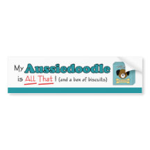 Mein Aussiedoodle ist alles das!