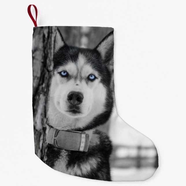 Mein Baby Blue Eyes Weihnachten Strumpf Kleiner Weihnachtsstrumpf (Vorderseite)