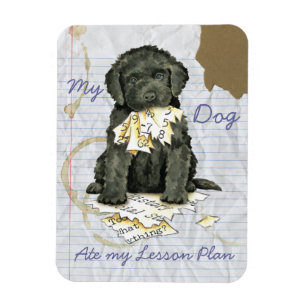Mein Barbet Ate my Lessingplan Magnet