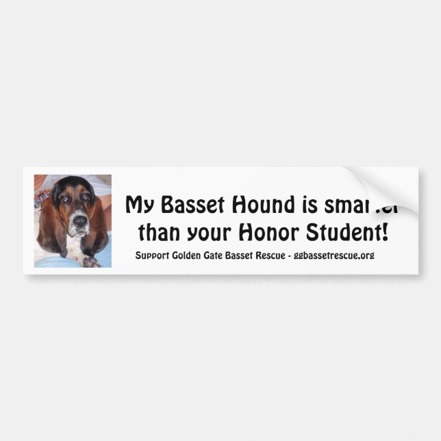 Mein Basset Hound ist intelligenter als ..... Autoaufkleber (Vorne)