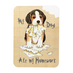 Mein Beagle ate meine Hausaufgaben Magnet