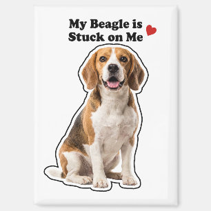 Mein Beagle klebt an mir Hunde Liebhaber Magnet