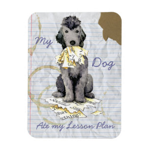 Mein Bedlington Terrier Ate My Lesson Plan Magnet