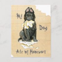 Mein belgischer Schäferhund Ate Meine Hausaufgaben