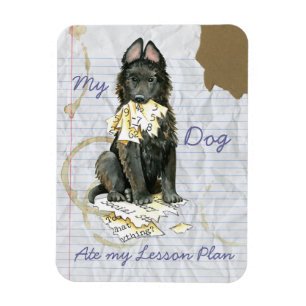 Mein belgischer Schäferhund hat meinen Lektionspla Magnet