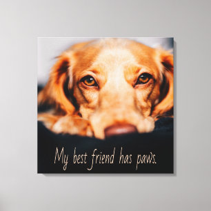 Mein bester Freund hat Pfotenhund, Puppy Meme Leinwanddruck