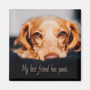Mein bester Freund hat Pfotenhund, Puppy Meme Magnet