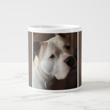 Mein bester Freund Haustier Hund Foto Personalisie
