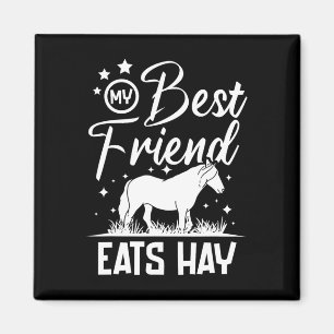 Mein bester Freund isst Hay Magnet