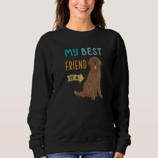 Mein bester Freund ist ein brauner Neufundland-Hun Sweatshirt