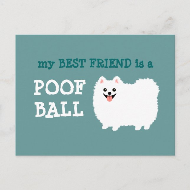 Mein bester Freund ist ein Poof Ball - White Spitz Postkarte (Vorderseite)