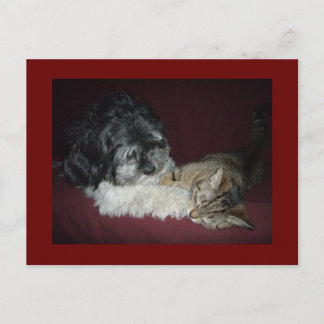 Mein bester Freund Postkarte