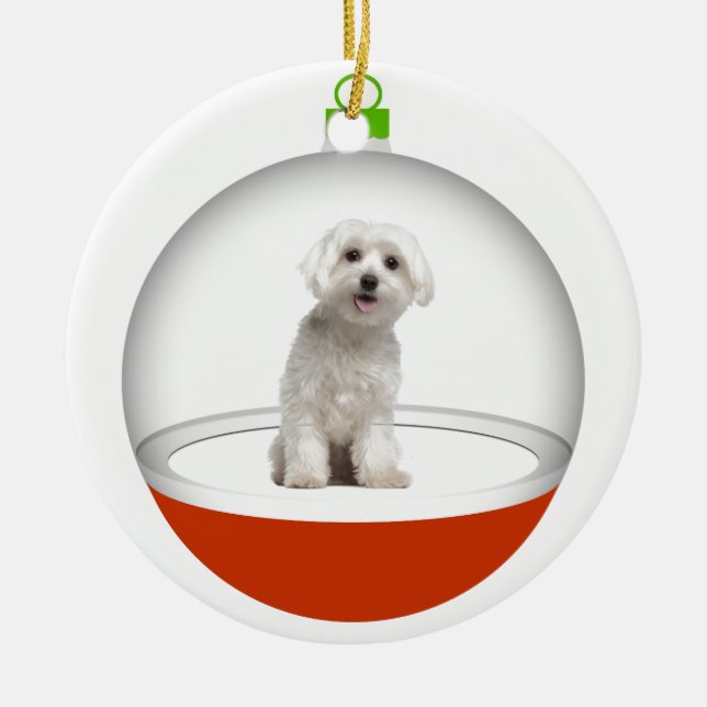 Mein bester Freund - SRF Keramikornament (Vorne)