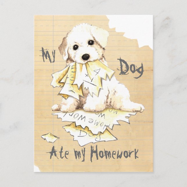 Mein Bichon Ate Meine Hausaufgaben Postkarte (Vorderseite)