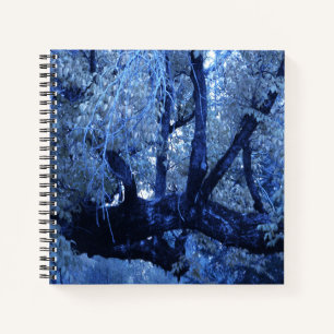 Mein blauer Winter.... Notizbuch