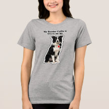 Mein Border Collie hängt an mir Hundeliebhaber