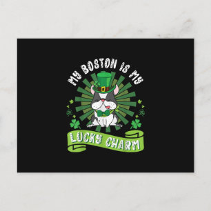 Mein Boston Terrier Dog ist mein glücklicher Charm Postkarte