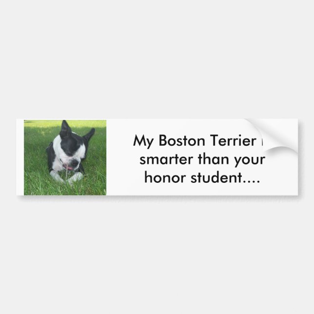 Mein Boston Terrier ist intelligenter als Ihre Autoaufkleber (Vorne)