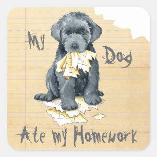 Mein Bouvier Ate My Hausaufgaben Square Sticker