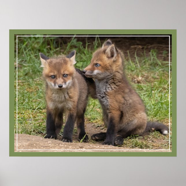 Mein Bruder/Schwester, mein Freund Poster (Vorne)