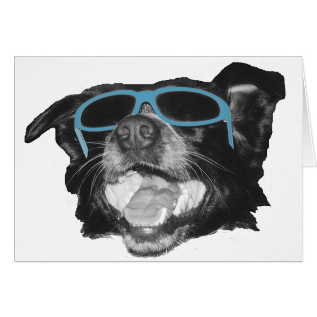 Mein Buddy (Vorderseite (Horizontal))