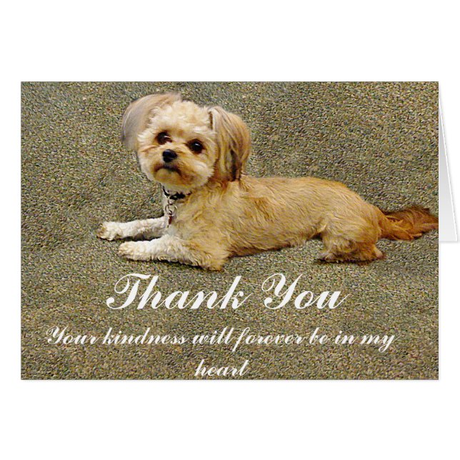 Mein Buddy_ (Vorderseite (Horizontal))